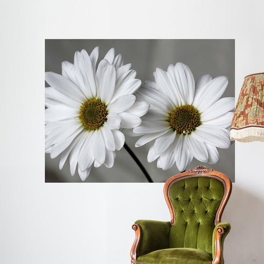 Don Wall Decal Design 1