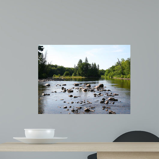 Chippewa Summer I Wall Decal