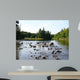 Chippewa Summer I Wall Decal