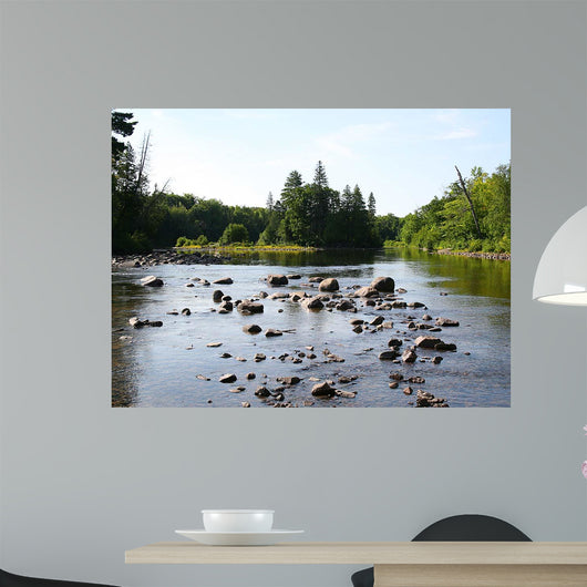 Chippewa Summer I Wall Decal