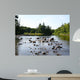 Chippewa Summer I Wall Decal