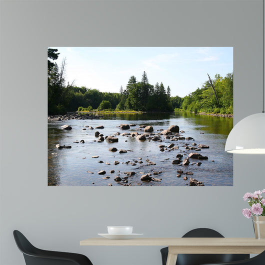 Chippewa Summer I Wall Decal
