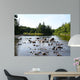 Chippewa Summer I Wall Decal