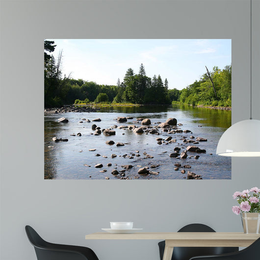 Chippewa Summer I Wall Decal