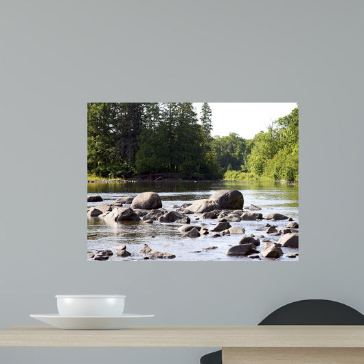 Chippewa Summer Ii Wall Decal