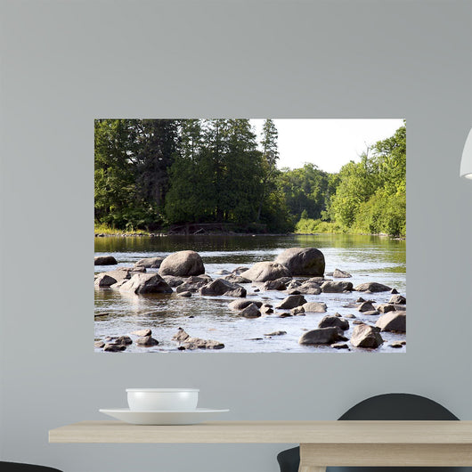 Chippewa Summer Ii Wall Decal