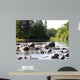 Chippewa Summer Ii Wall Decal