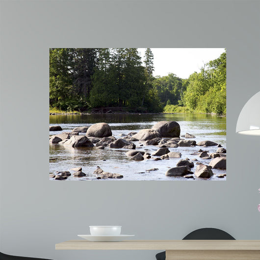 Chippewa Summer Ii Wall Decal
