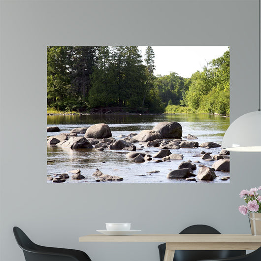 Chippewa Summer Ii Wall Decal