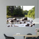 Chippewa Summer Ii Wall Decal