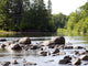 Chippewa Summer Ii Wall Decal