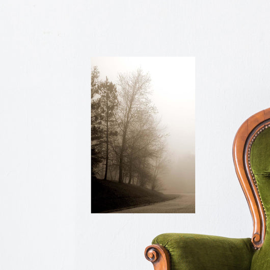Early Morning Iii Wall Decal