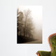Early Morning Iii Wall Decal