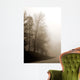 Early Morning Iii Wall Decal