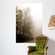 Early Morning Iii Wall Decal