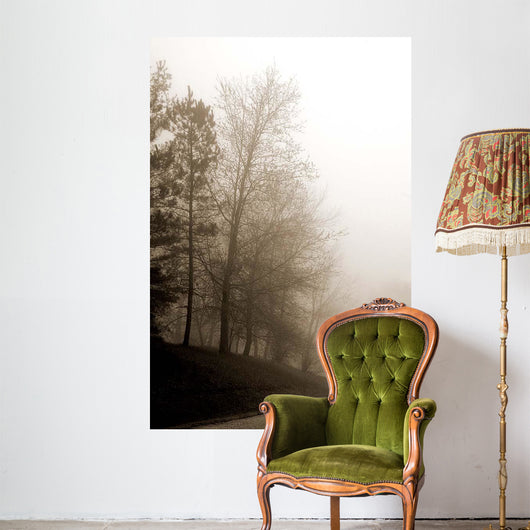 Early Morning Iii Wall Decal