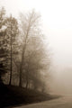 Early Morning Iii Wall Decal