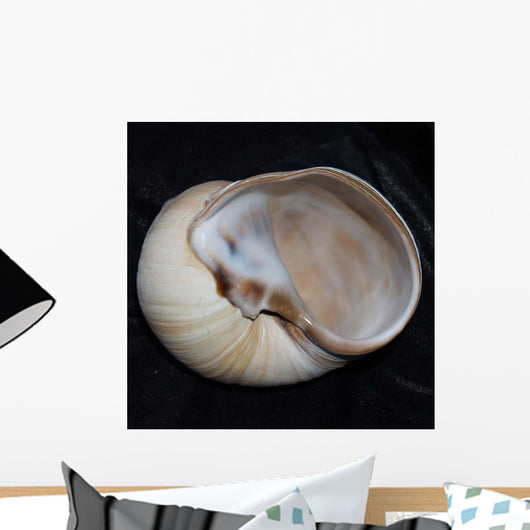 Moonsnail I Wall Decal