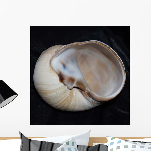 Moonsnail I Wall Decal