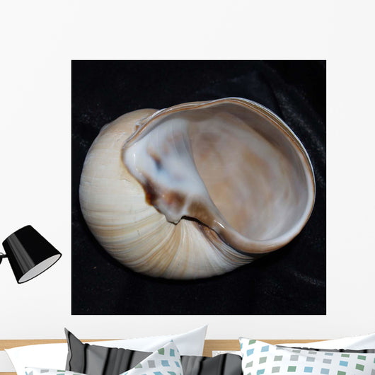 Moonsnail I Wall Decal