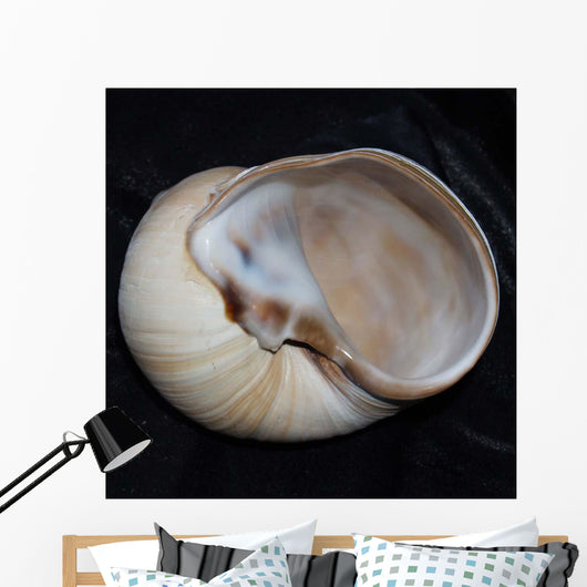 Moonsnail I Wall Decal