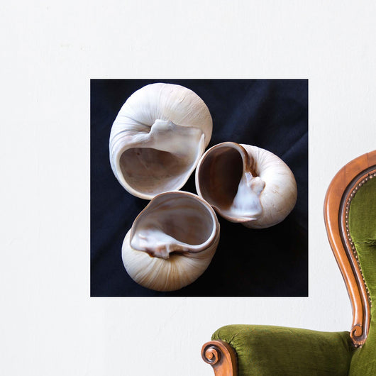 Moonsnail Ii Wall Decal