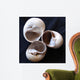 Moonsnail Ii Wall Decal