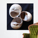 Moonsnail Ii Wall Decal