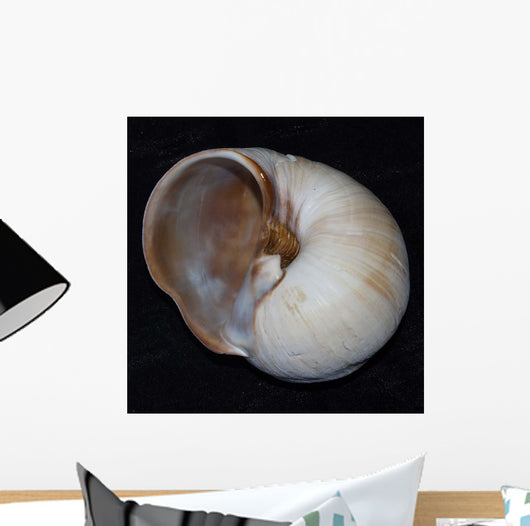 Moonsnail Iii Wall Decal