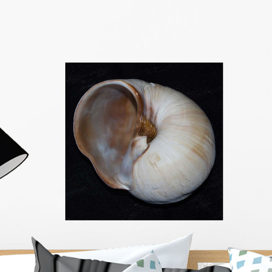 Moonsnail Iii Wall Decal