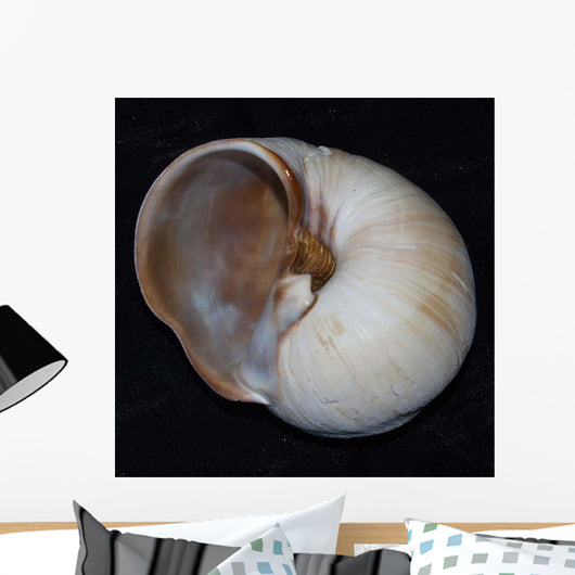Moonsnail Iii Wall Decal