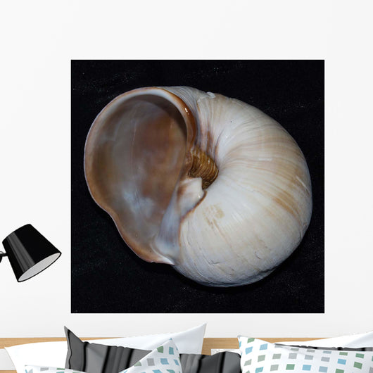 Moonsnail Iii Wall Decal