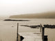 Still Morning Ii Wall Decal