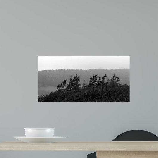 From Cape Ii Wall Decal