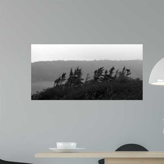 From Cape Ii Wall Decal