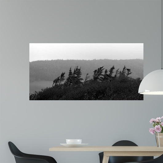 From Cape Ii Wall Decal
