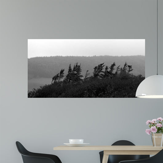 From Cape Ii Wall Decal