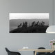 From Cape Ii Wall Decal