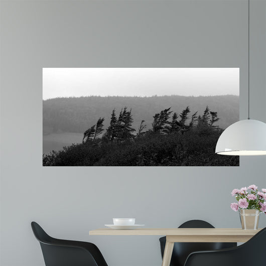 From Cape Ii Wall Decal