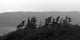 From Cape Ii Wall Decal