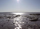 Atlantic Skies Ii Wall Decal