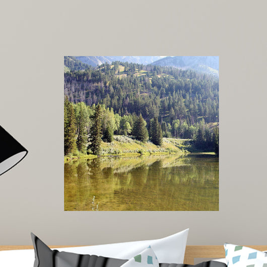 Reflections I Wall Decal
