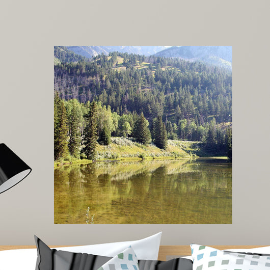 Reflections I Wall Decal