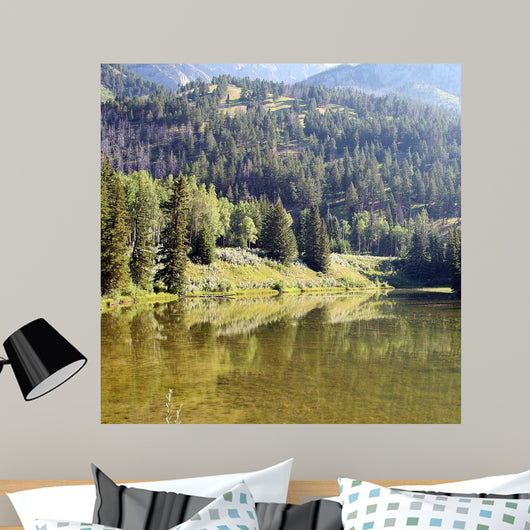 Reflections I Wall Decal