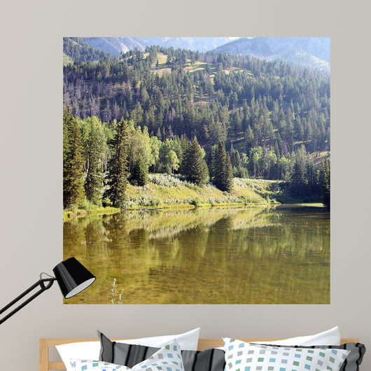 Reflections I Wall Decal