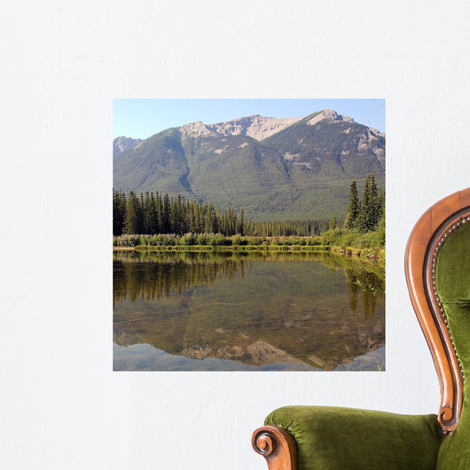 Reflections Ii Wall Decal