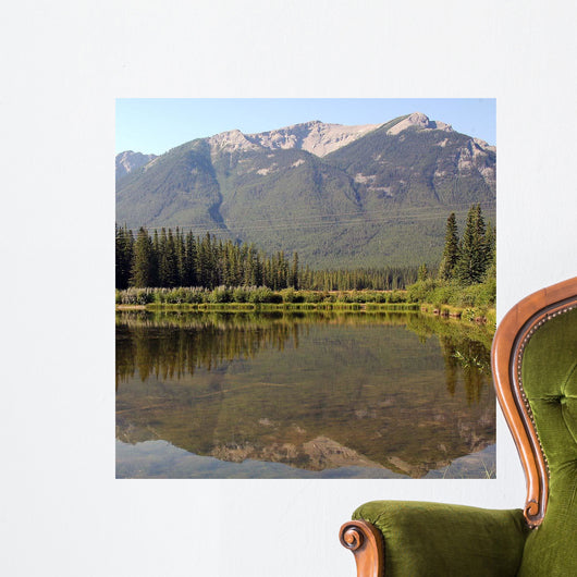 Reflections Ii Wall Decal