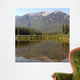 Reflections Ii Wall Decal