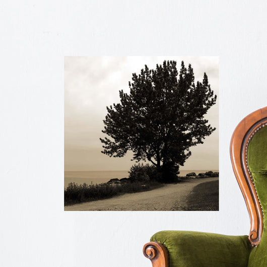 Silhouette I Wall Decal