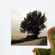 Silhouette I Wall Decal
